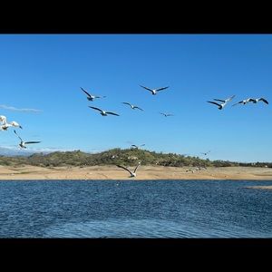 Meet your Posher, Estevan